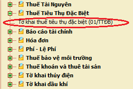 thue_tt_dac_biet_